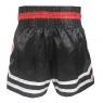 Lumpinee Muay Thai Shorts : LUM-036-Black